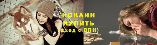 spice Абаза
