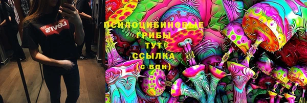 амф Болохово